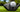 Let's talk about Titleist