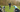 Golfer Hitting An Iron Tee Shot