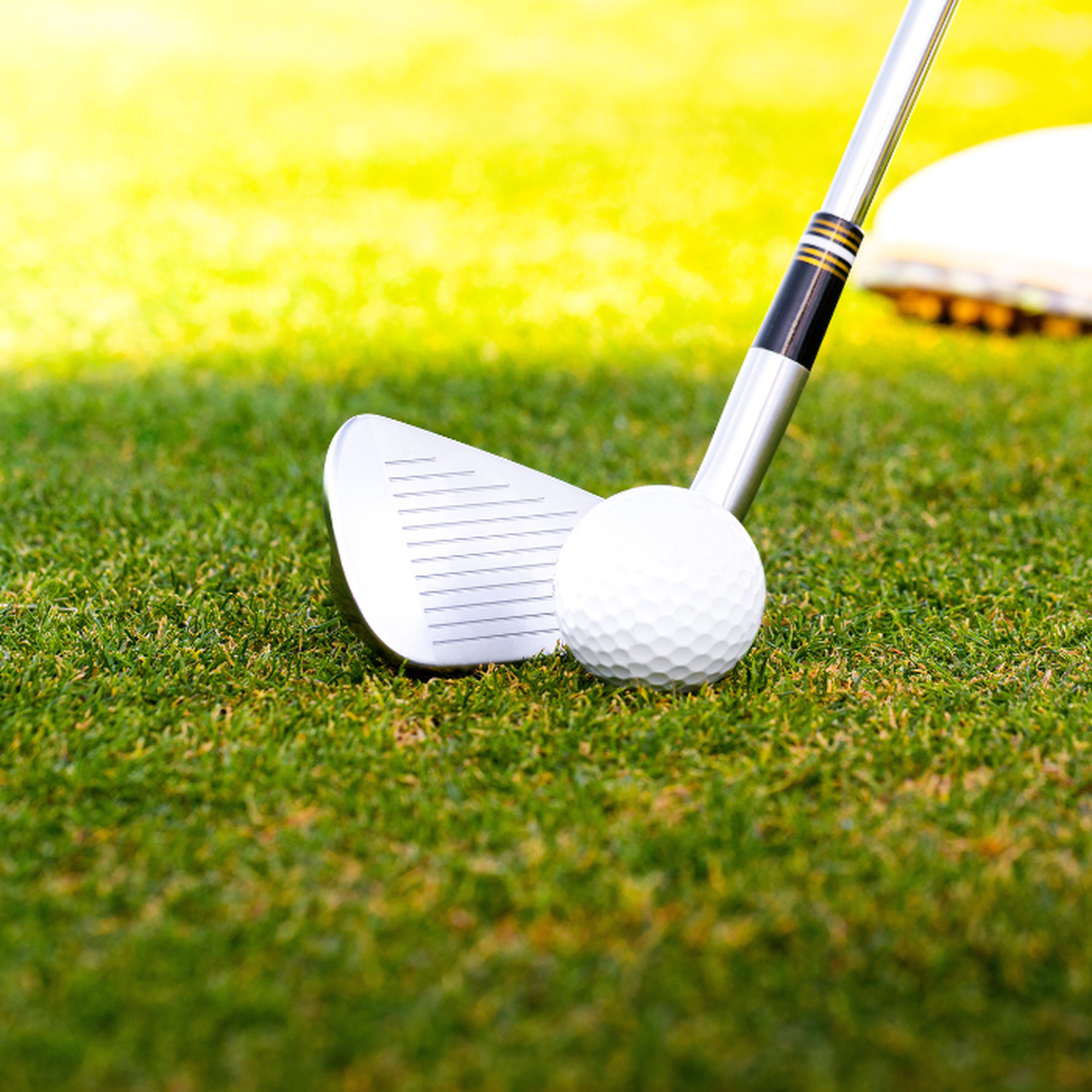 Miura Golf Irons