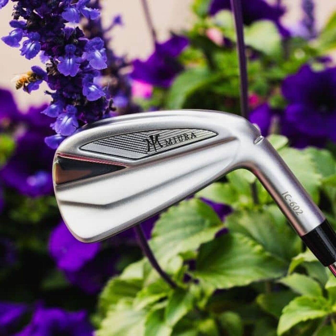 Miura Golf Irons