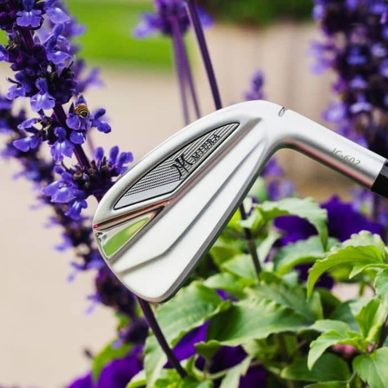 Miura Irons