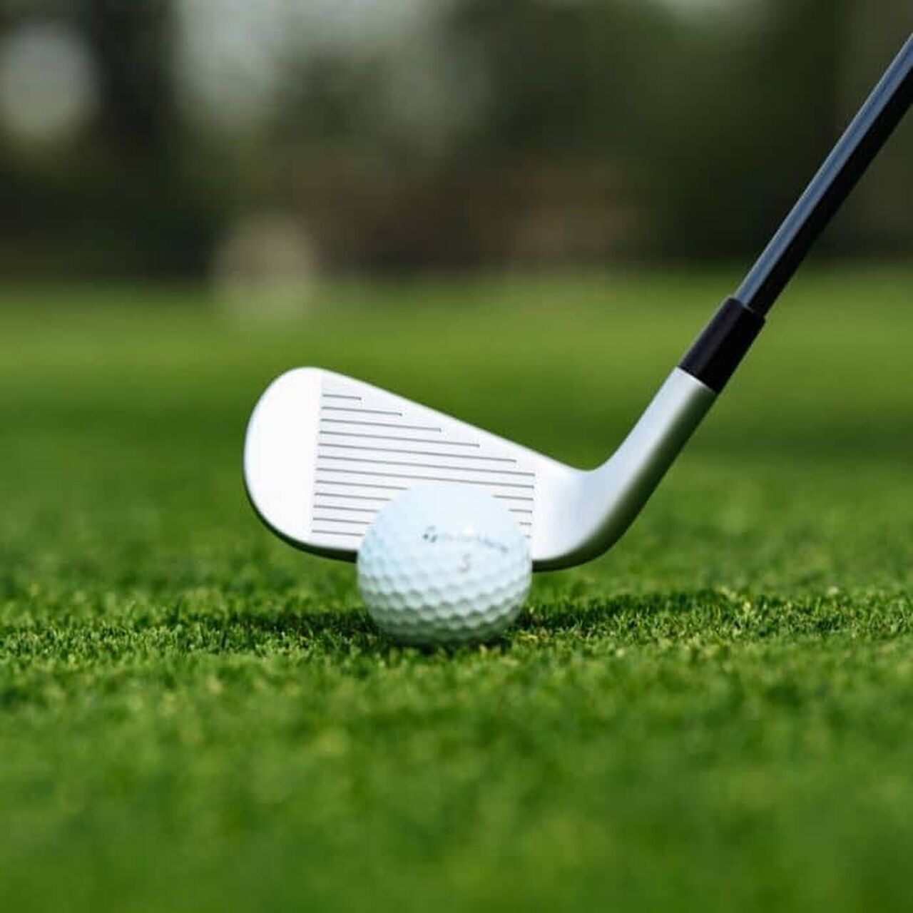 TaylorMade P DHY Golf Utility Iron