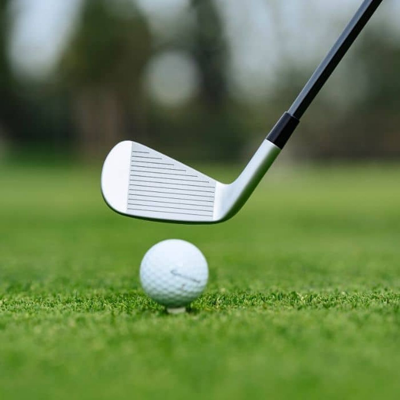 TaylorMade P UDI Golf Utility Iron